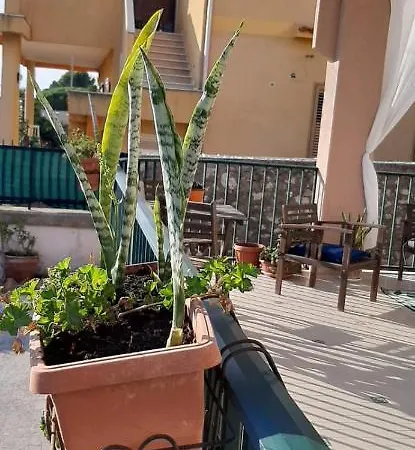 Il Vaso Di Creta