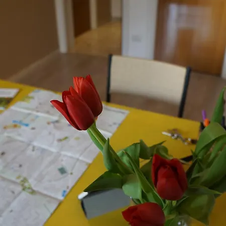 Bed & Breakfast Il Vaso Di Creta 3*