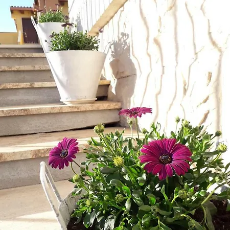 Bed & Breakfast Il Vaso Di Creta 3*