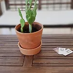 Il Vaso Di Creta