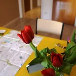 Bed and Breakfast Il Vaso Di Creta Ραγκούσα