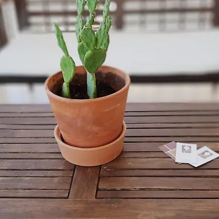 Il Vaso Di Creta